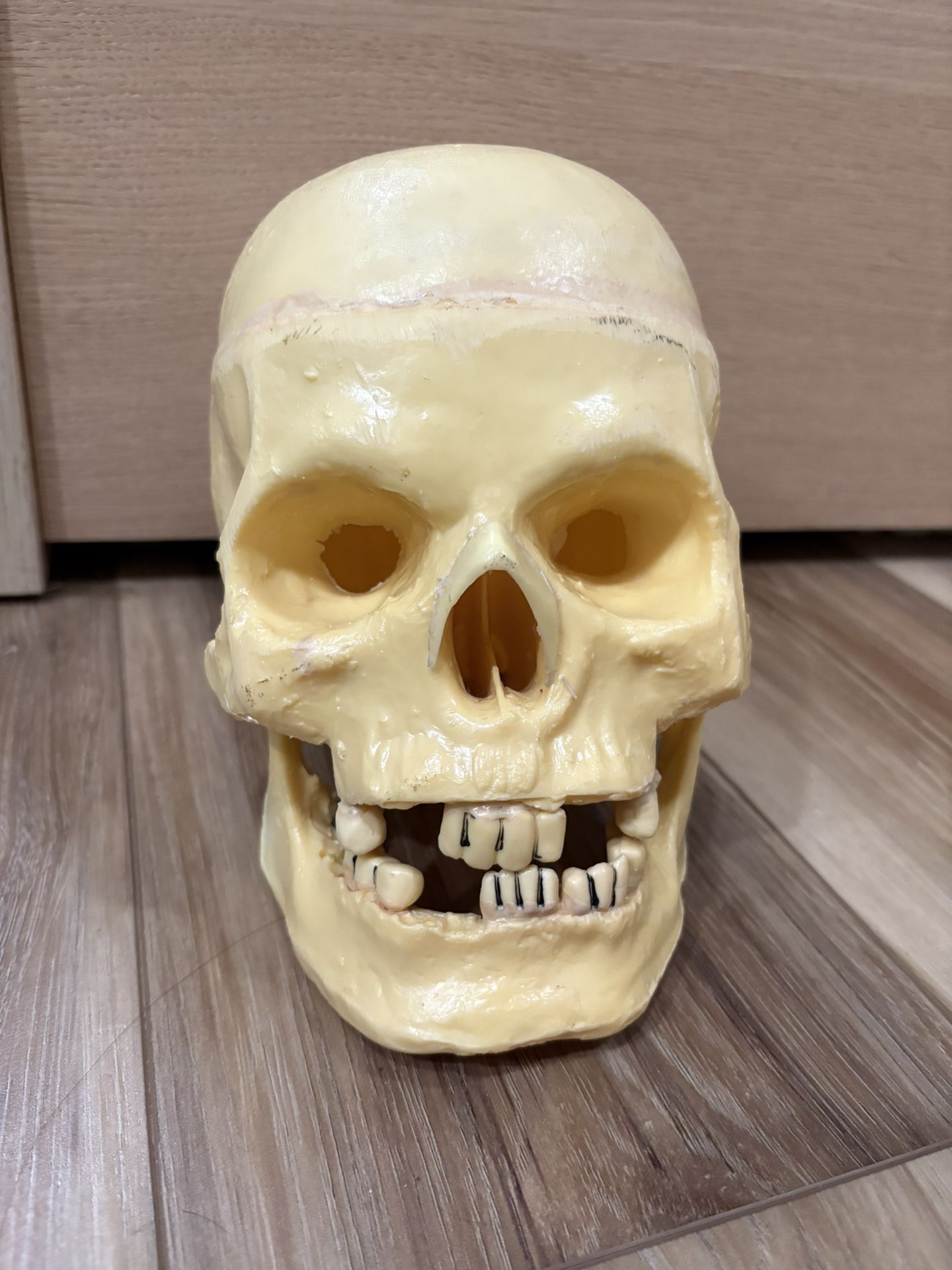 Halloween Skull The Paper Magic Group Feels Like Real Bone 1995 vintage