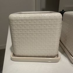 Ceramic Planters