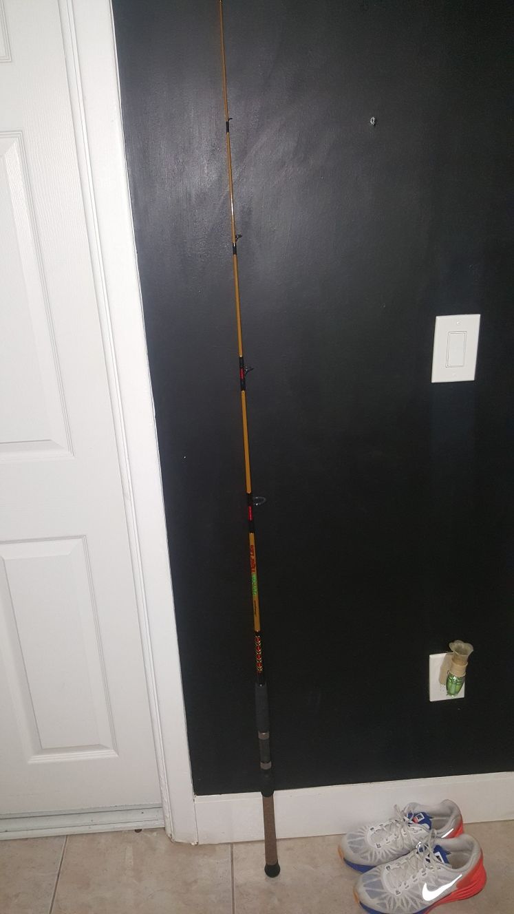 Ugly stik tiger lite rod