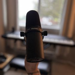 Shure SM7B Microphone $300