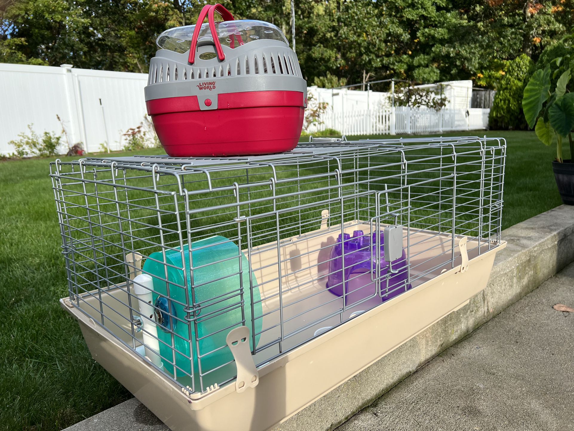 Cage And Playpen For Small Pets