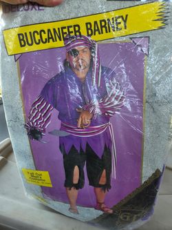 Adult Pirate Costume
