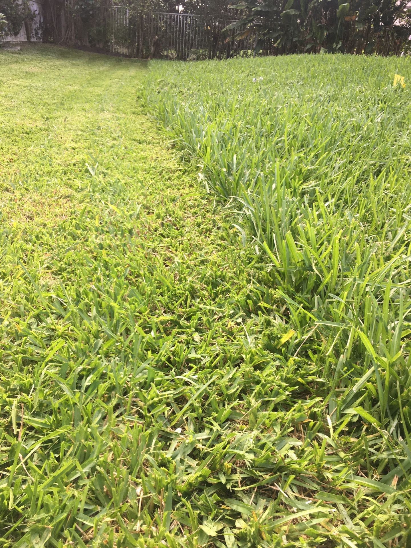 Lawn Crew Labor Needed West Broward