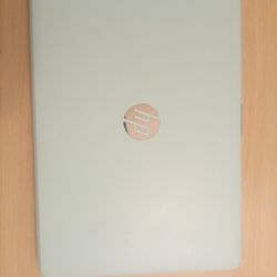 Hp Mint Laptop 