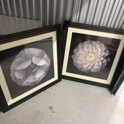 Matching Pictures Great Condition