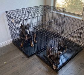 Large Black Wire Dog Crate