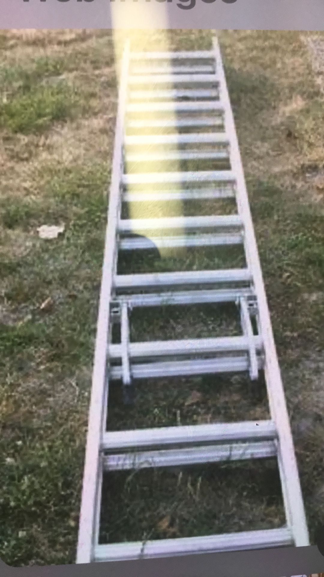 25 fit. adjustable Ladder