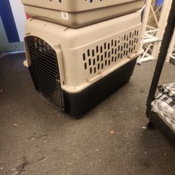 Large Dog Crate 2 Available