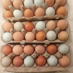 Farm Fresh Chicken Eggs