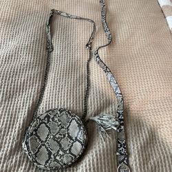 Purse & Matching Snake Skin Belt 