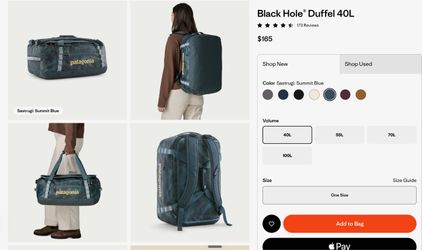 Patagonia Black Hole Duffel 40L