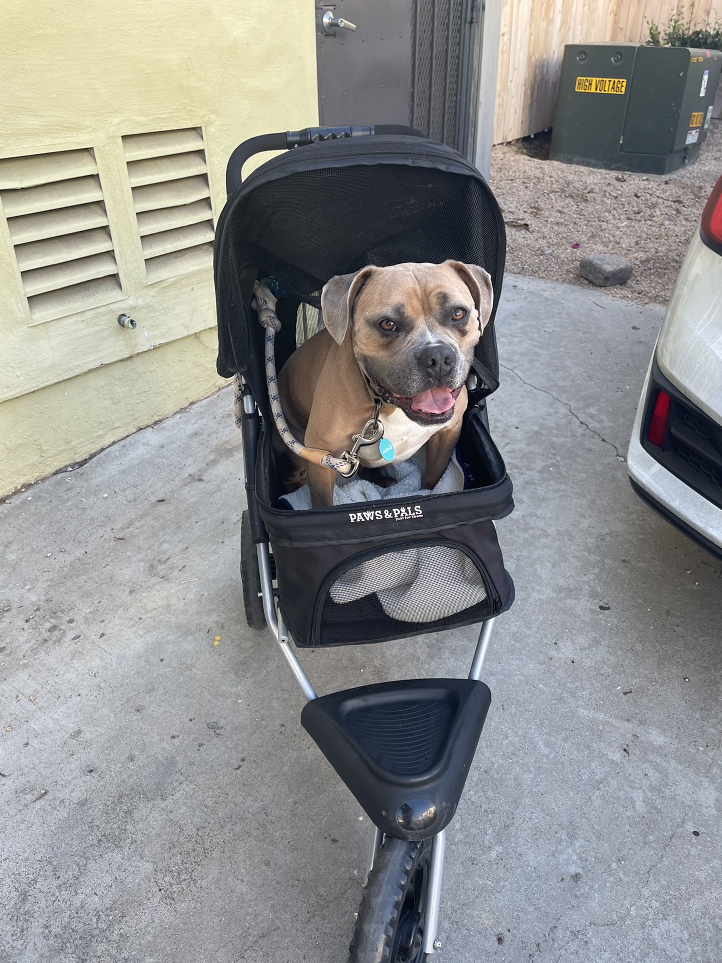 Dog Stroller (Front Wheel Defect) FREE