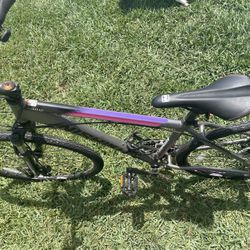 Nishiki Mountain Bike