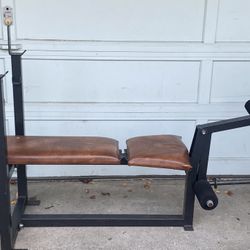 Para Body Old School Strongman  Incline Bench preacher Curl Leg Ext 