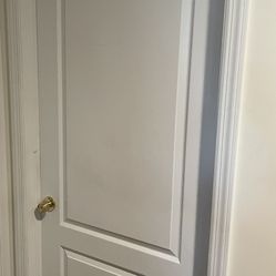  Door with brass door handle & hinges 