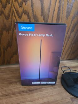 Govee Floor Lamp Basic