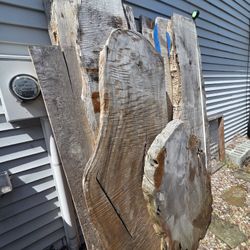 Live Edge Slabs
