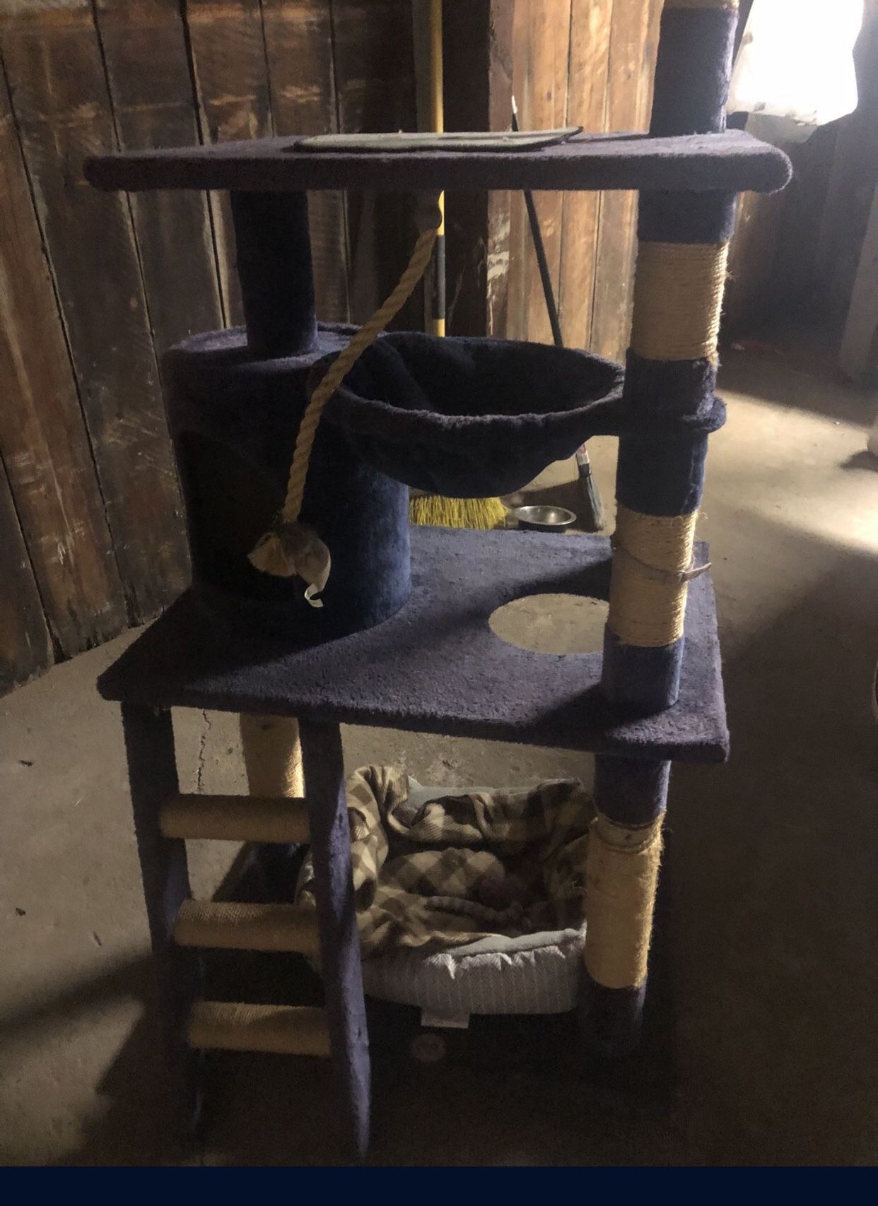 Cat Big Tower