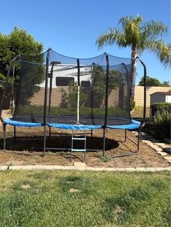 Trampoline