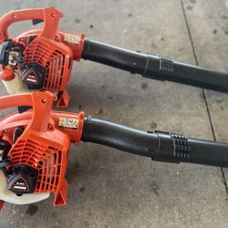 Echo Leaf Blower