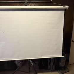 PROYECTOR SCREEN $100