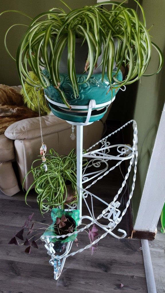 Plant Stand And  3 Plants Included 