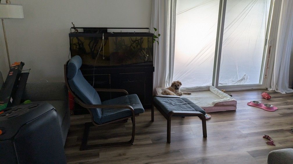 IKEA dark brown and blue poang chair and ottoman