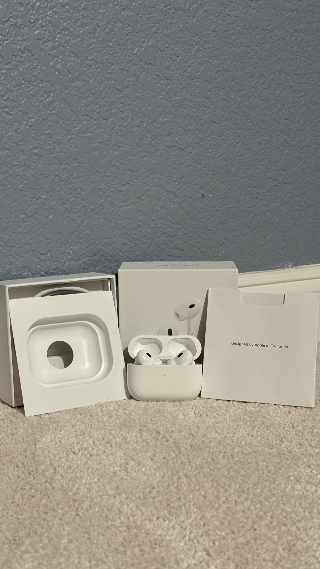 Earbuds Pro ( Offers Are Open) Read Description