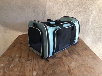Pet carrier/ Cat or Small Dog / Aqua blue / $15.00