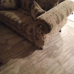 Patterned  Sofa Great Condition $150.00