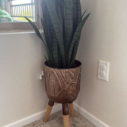 Fake Plant And Pot