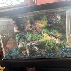 Fish Tank With Accessories And Pump 