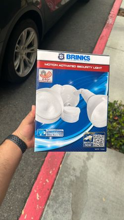 Brinks Motion Security Light