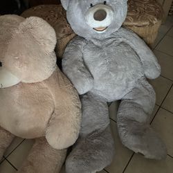 Giant Teddy Bears 