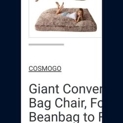 Convertible Bean Bag Bed  FREE