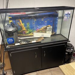 60 Gallon Aquarium 