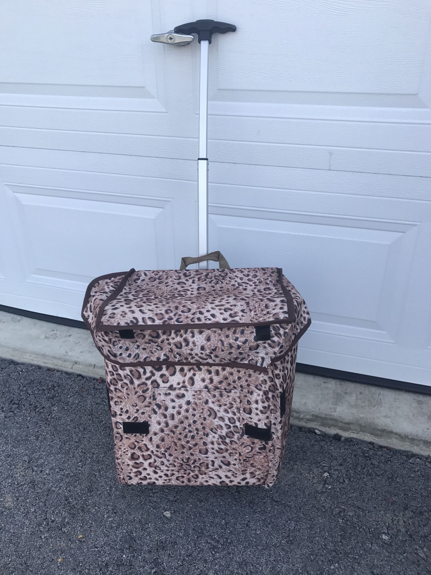 Carry on ground cart