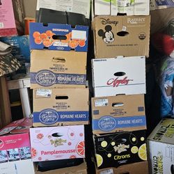 Mixed printers from costco pallets.  10+ printers  take them all for $50