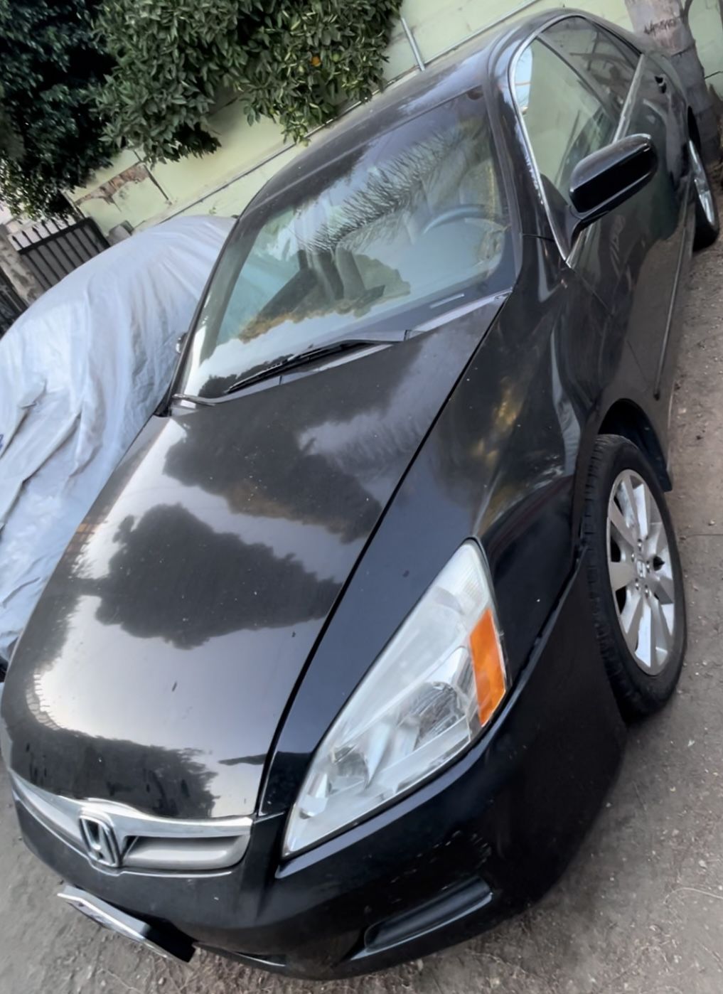 2006 Honda Accord
