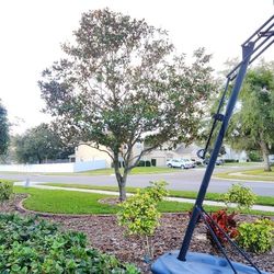 Spalding Basket Ball Hoop