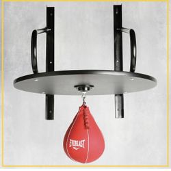 Everlast Speedbag 