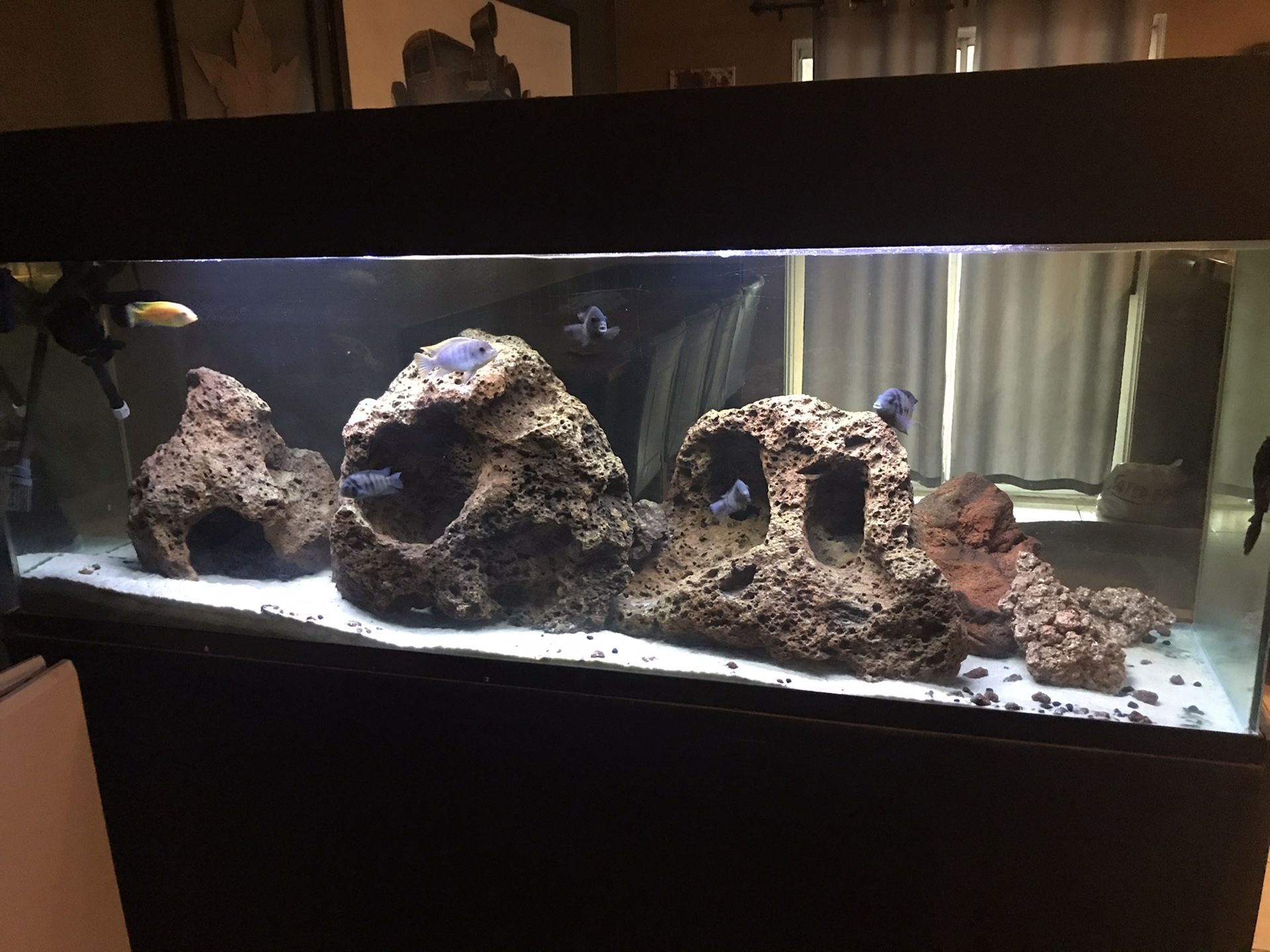 Aquarium fishtank 120g