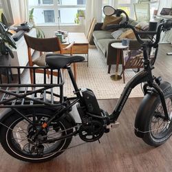RadExpand 5 Electric folding bike