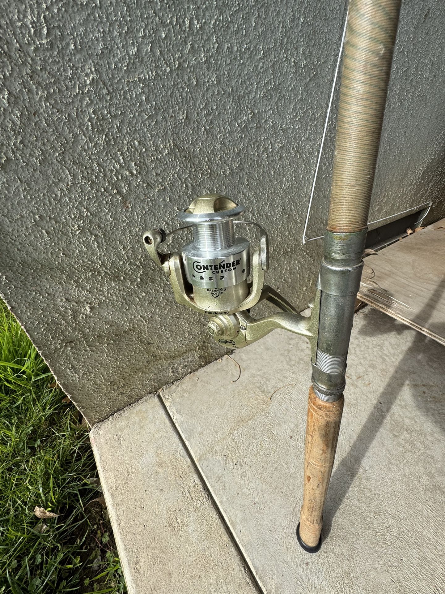 Fishing Pole & Reel