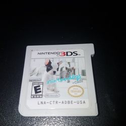 NINTENDO 3DS GAME 