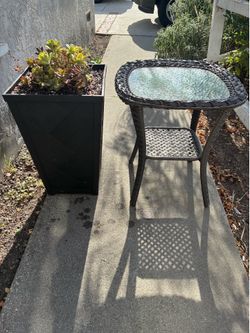 Succulents stand and outdoor stand (must take both)