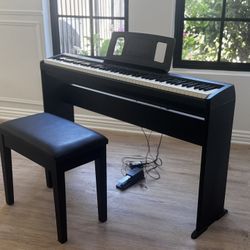Roland FRP-1 (Equivalent to FP-10) 