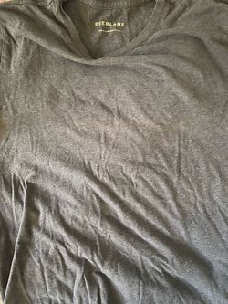Everlane Gray V-Neck T-Shirt