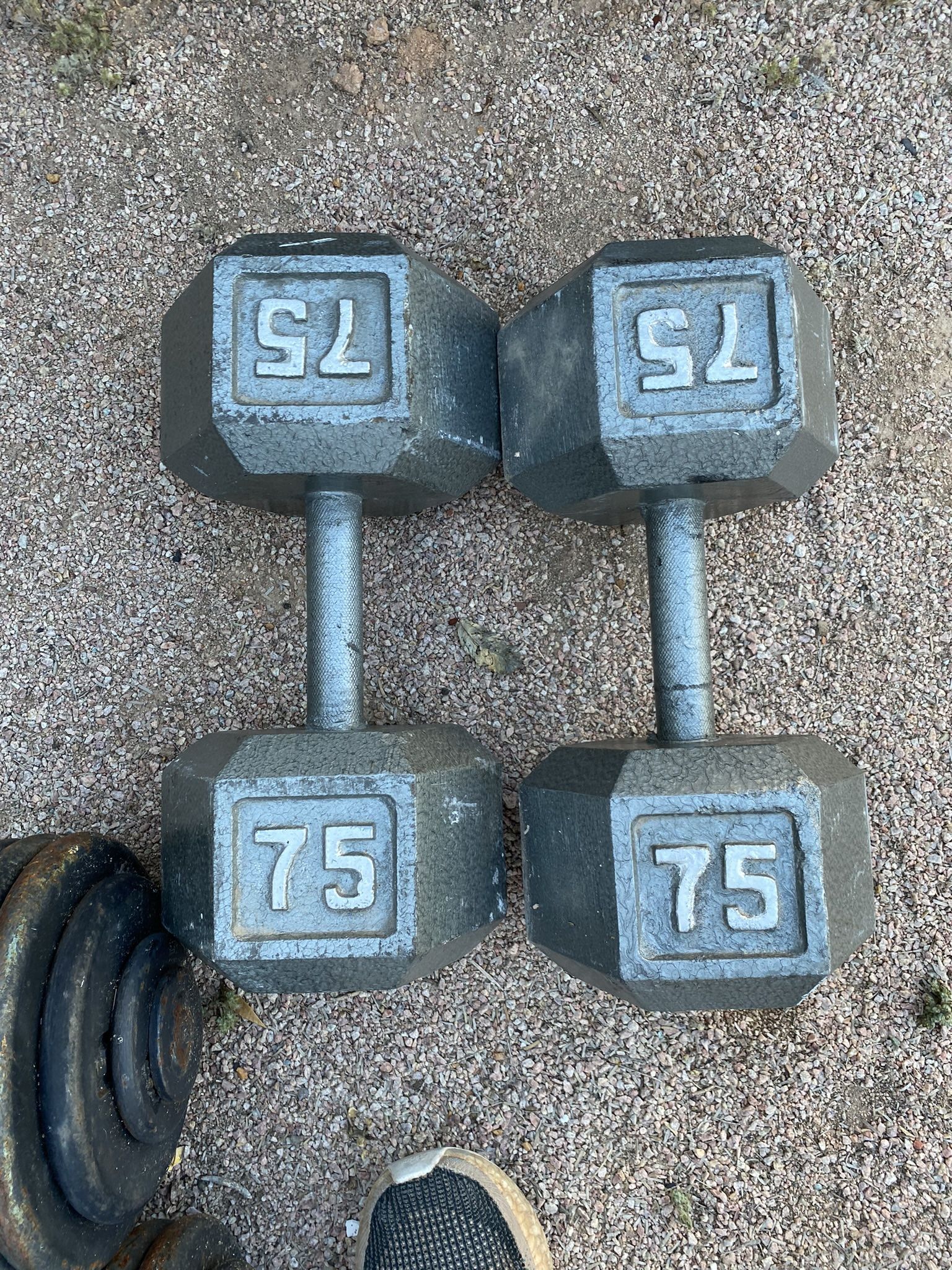 75lb Hex Iron Dumbbell Set Weights 