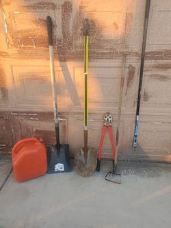 50 dollars for all